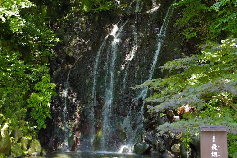 المظهر الخارجي