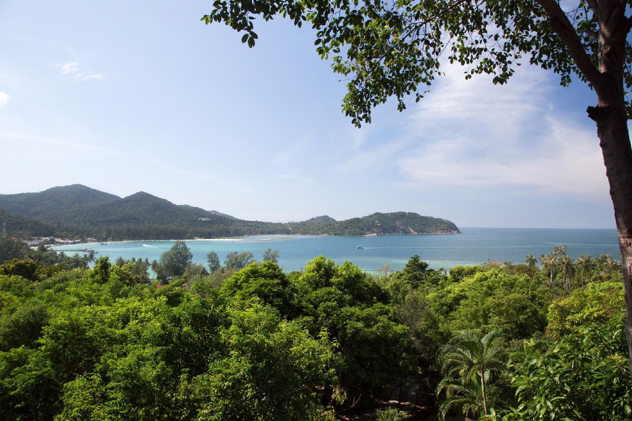 المظهر الخارجي