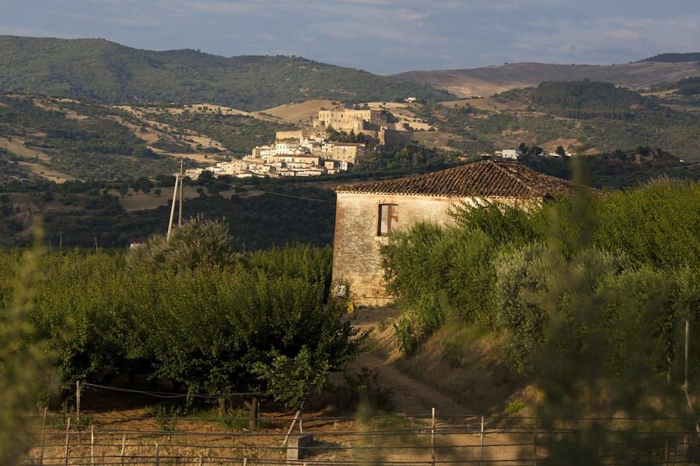 المظهر الخارجي