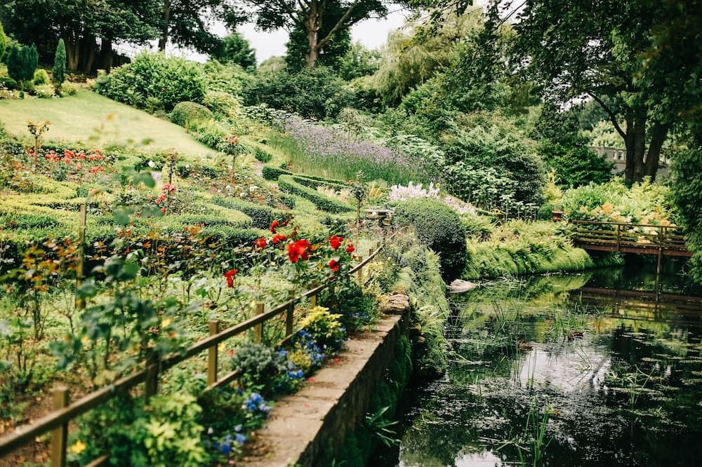 المظهر الخارجي