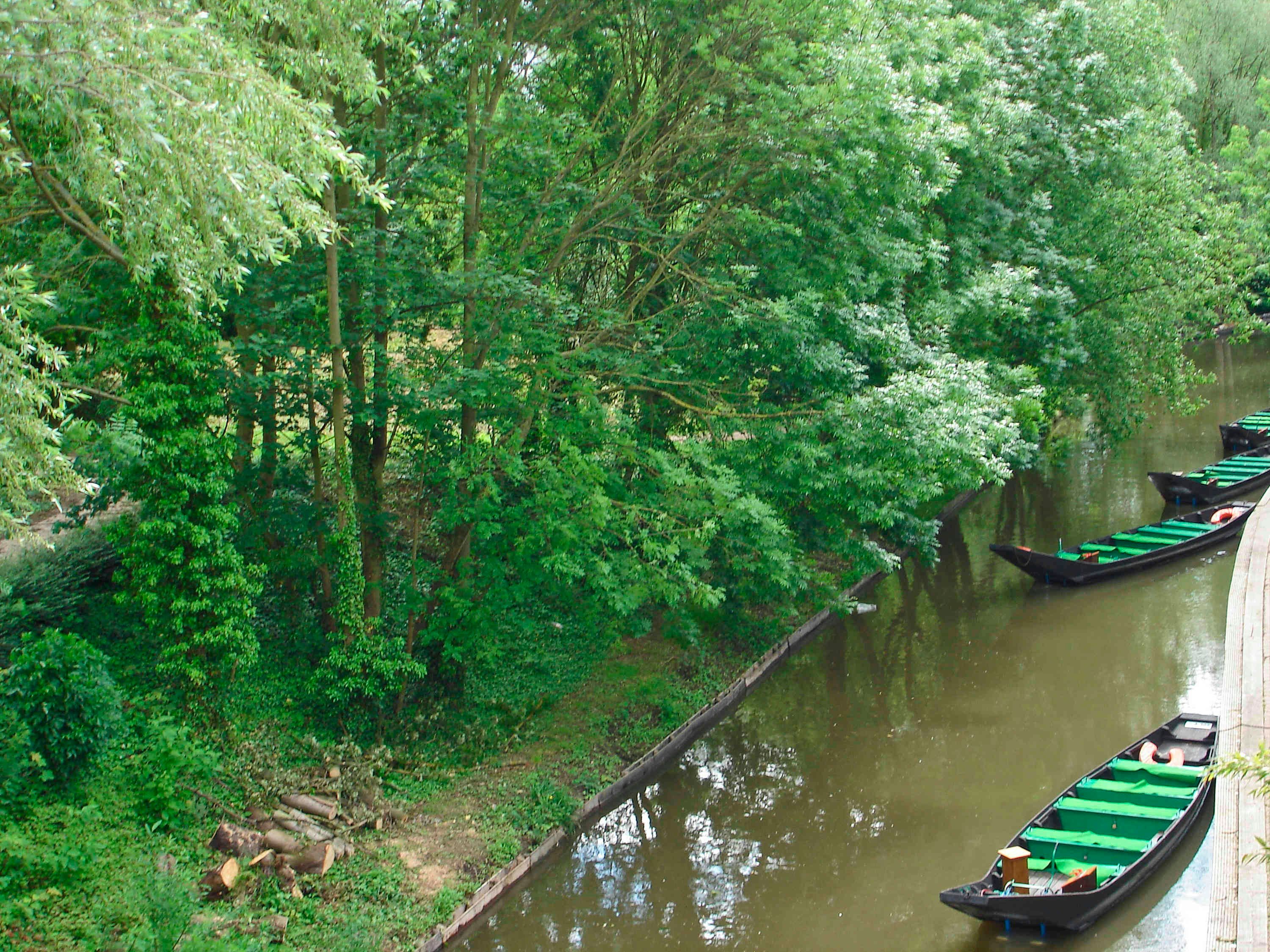 المظهر الخارجي