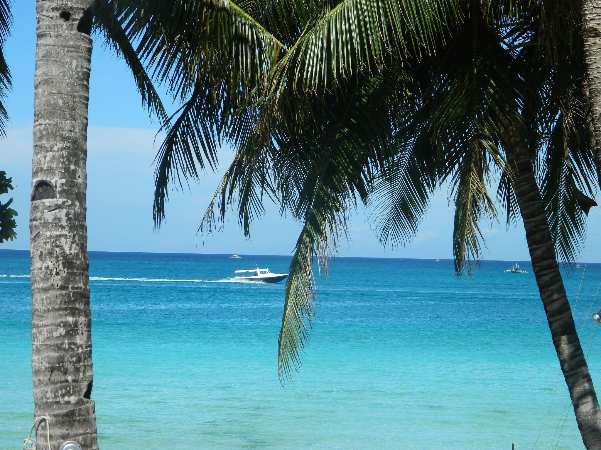 المظهر الخارجي