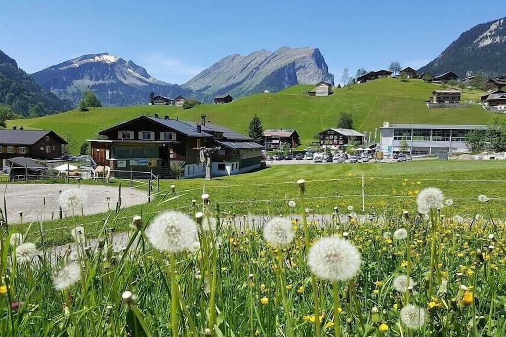 المظهر الخارجي