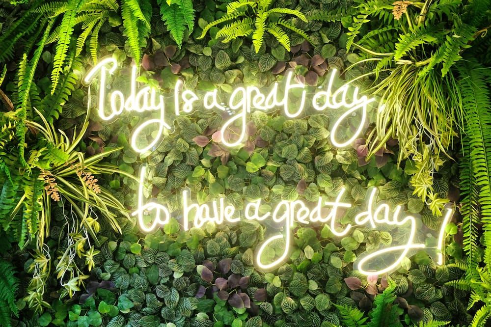 المظهر الخارجي