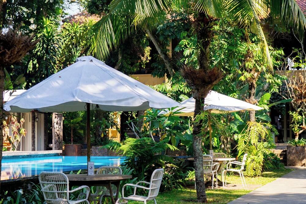 حوض السباحة