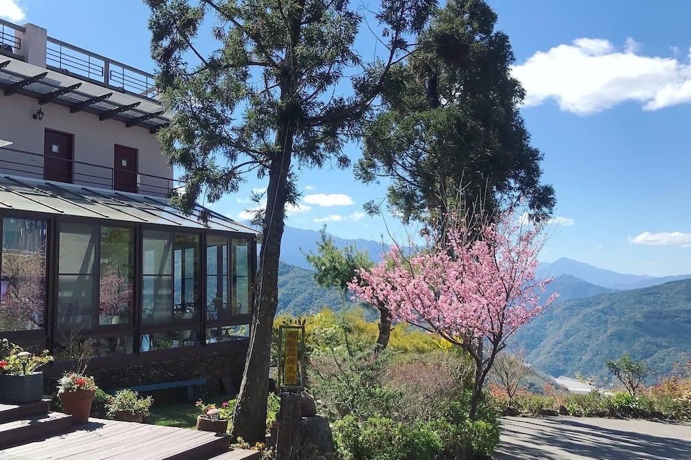 المظهر الخارجي