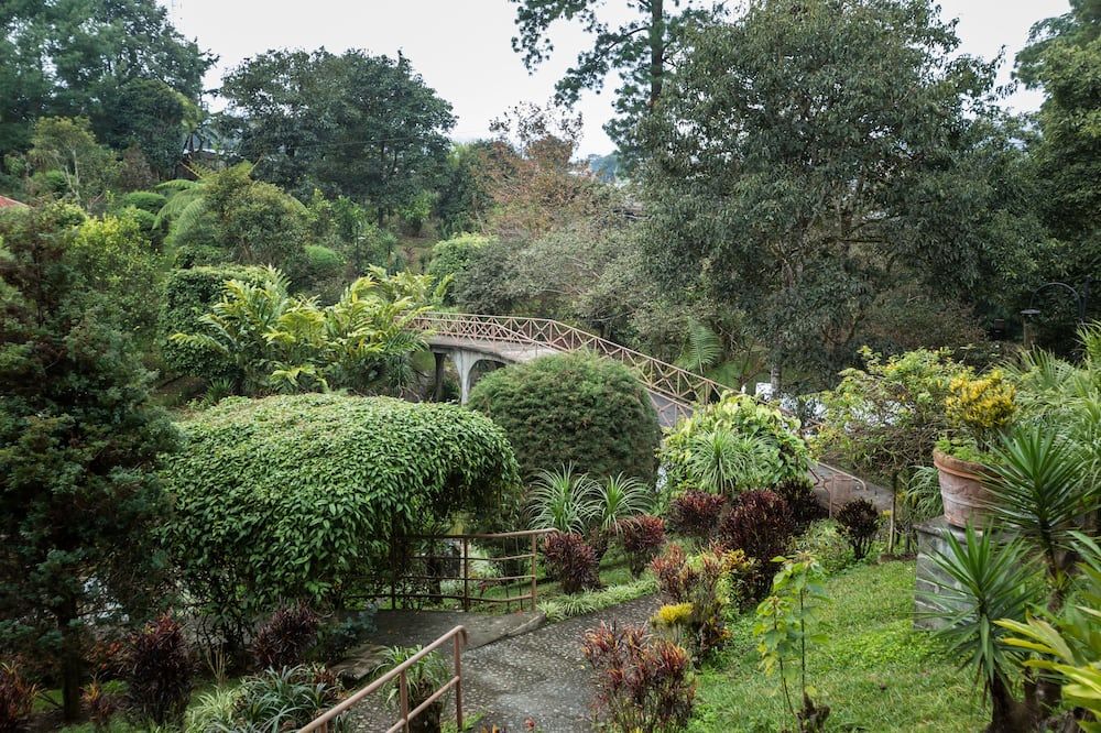 المظهر الخارجي