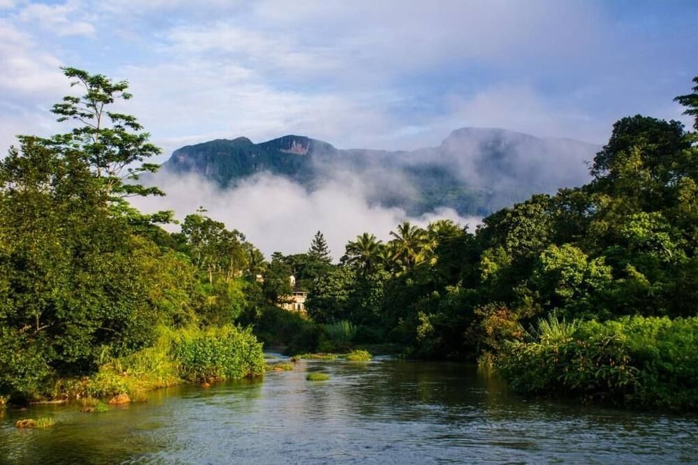 المظهر الخارجي