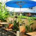 شرفة مرصوفة