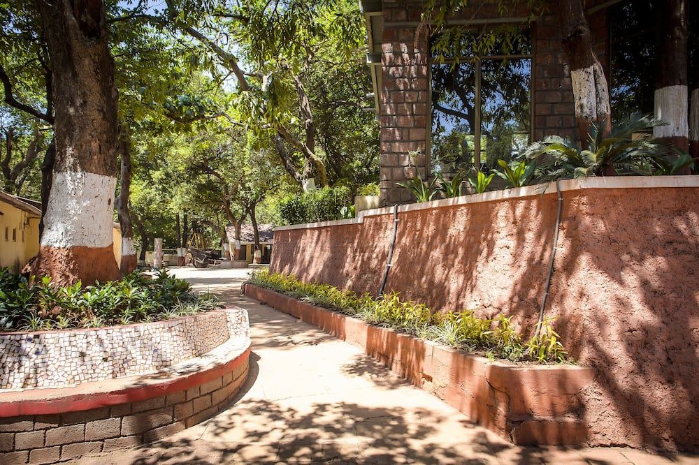 المظهر الخارجي