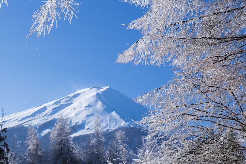 المظهر الخارجي
