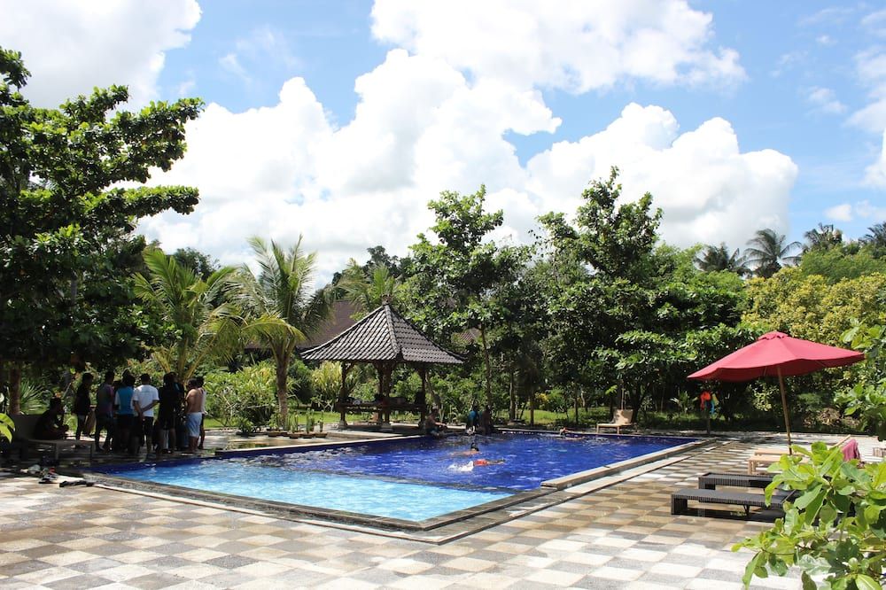 حوض السباحة