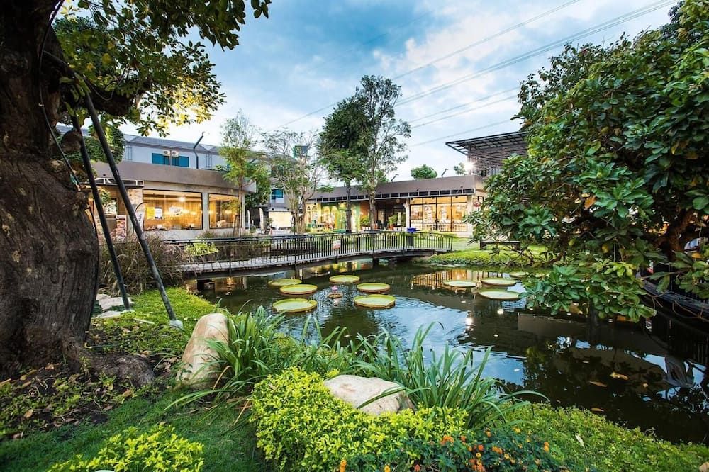 المظهر الخارجي