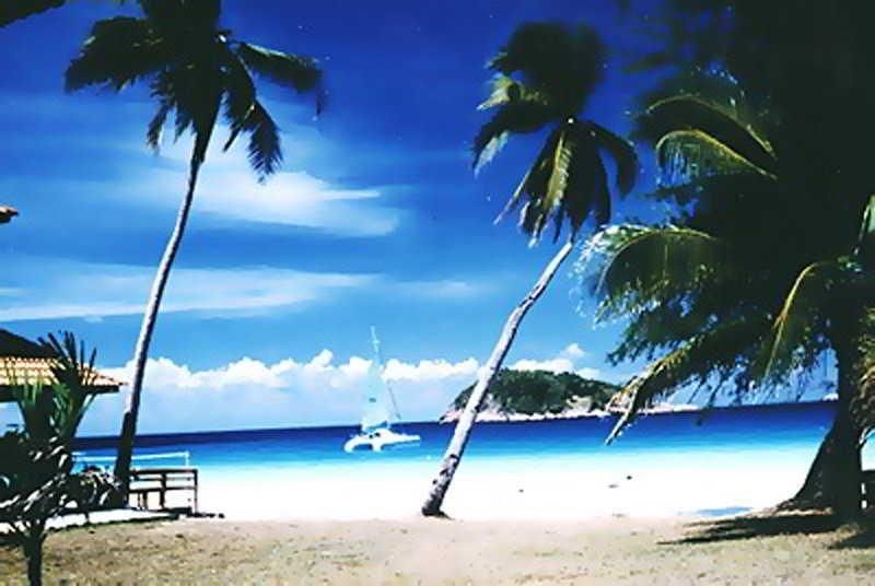 شاطئ صورة