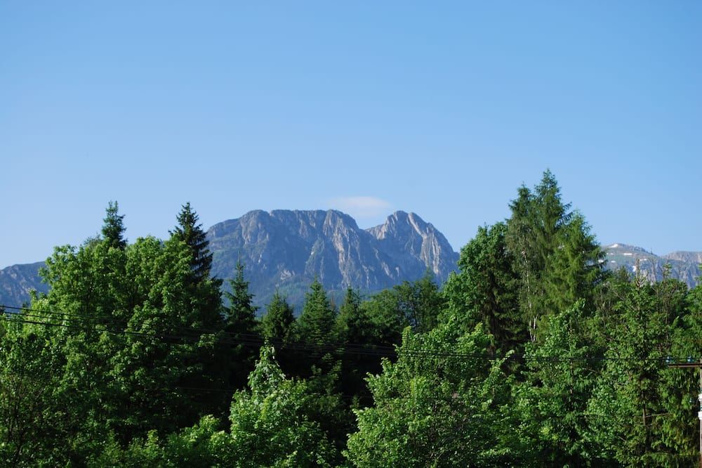 المظهر الخارجي