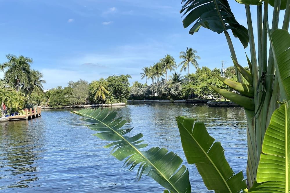 المظهر الخارجي