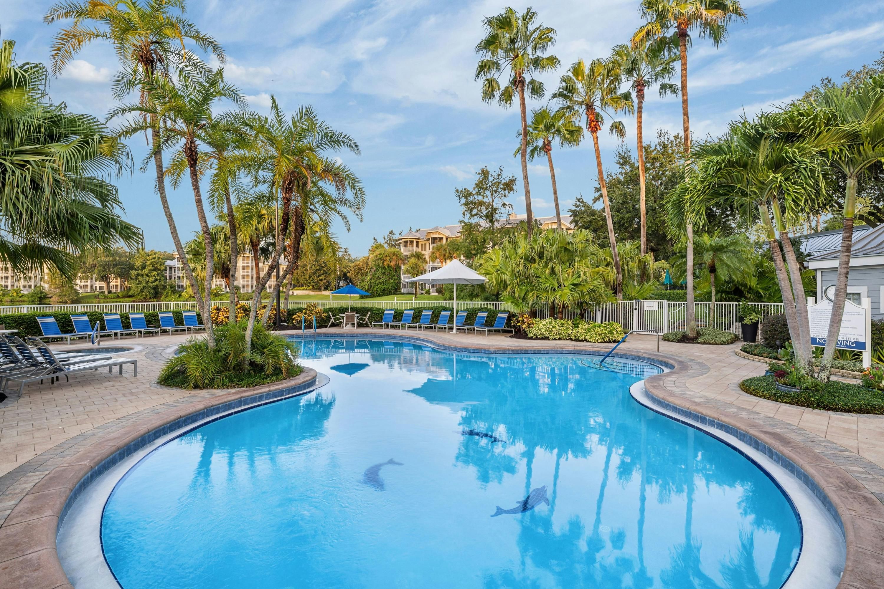 حوض السباحة