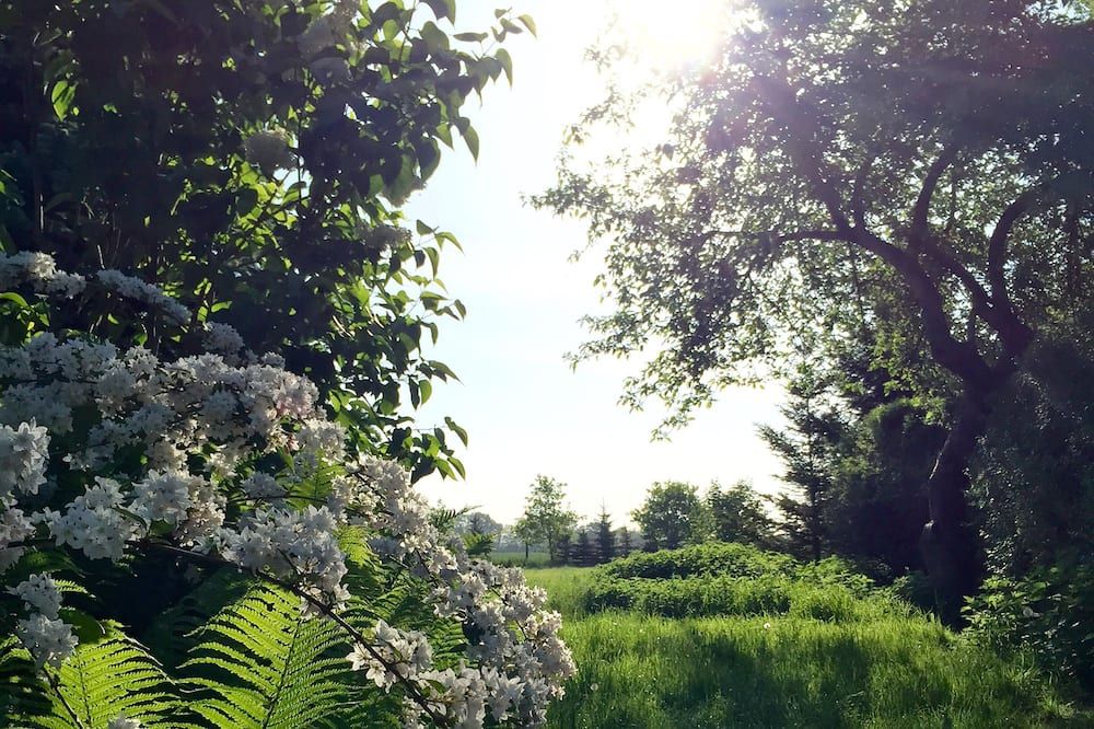 المظهر الخارجي