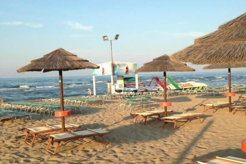 شاطئ صورة
