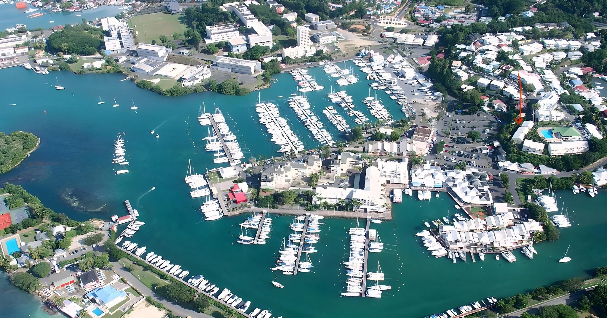 المظهر الخارجي