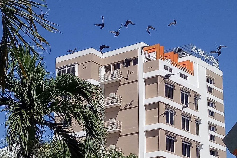مبنى