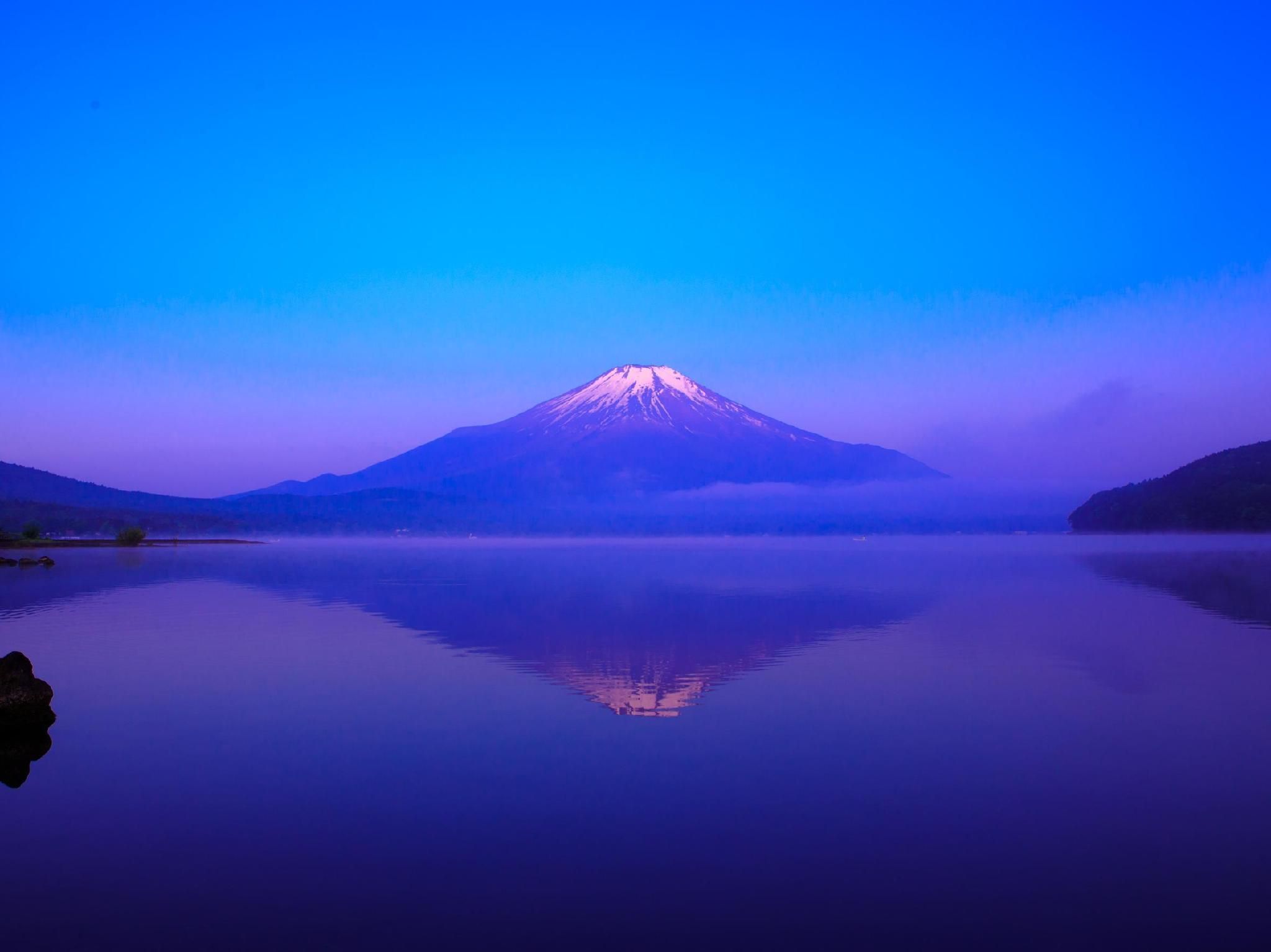 المظهر الخارجي