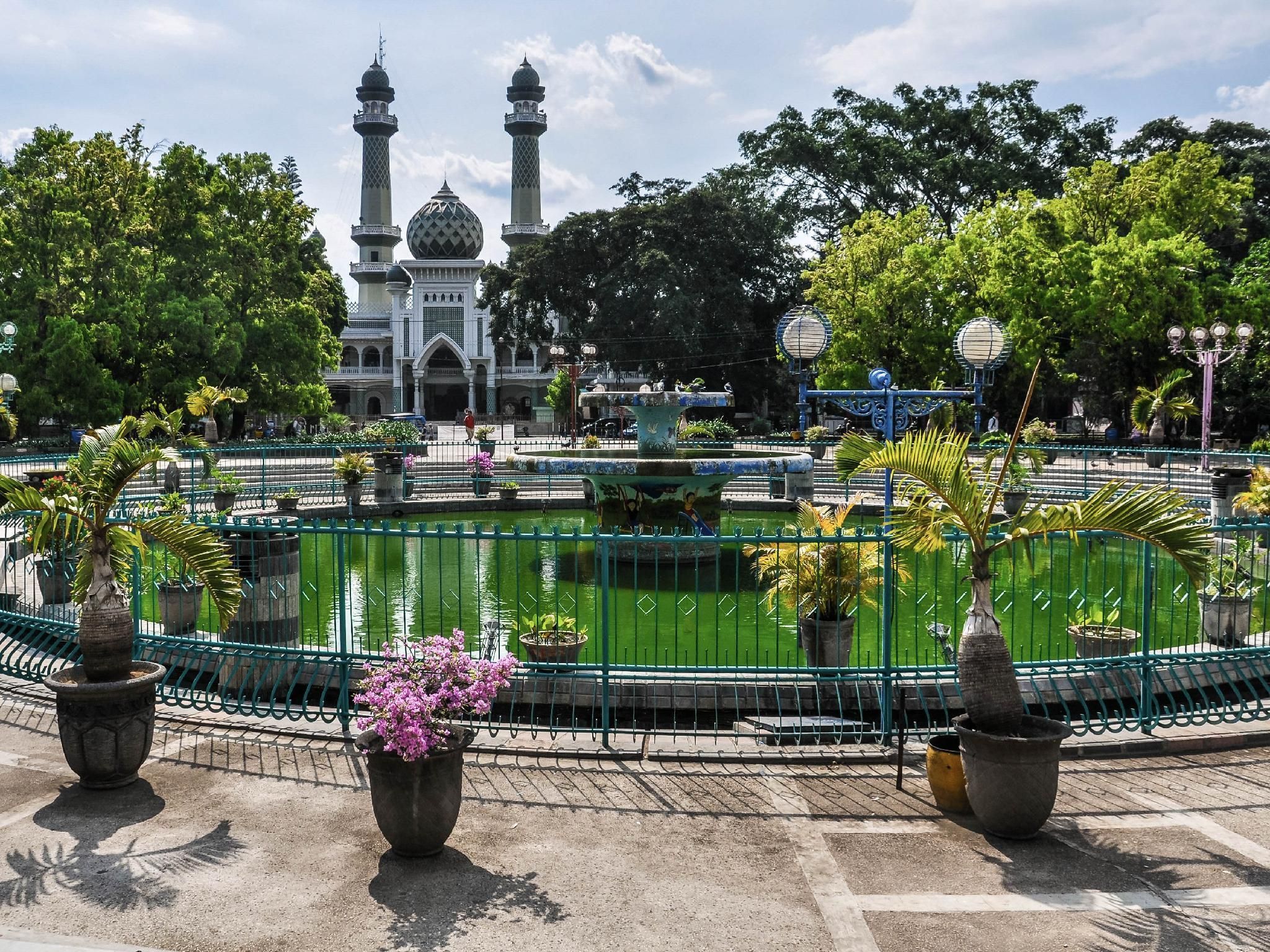 المظهر الخارجي