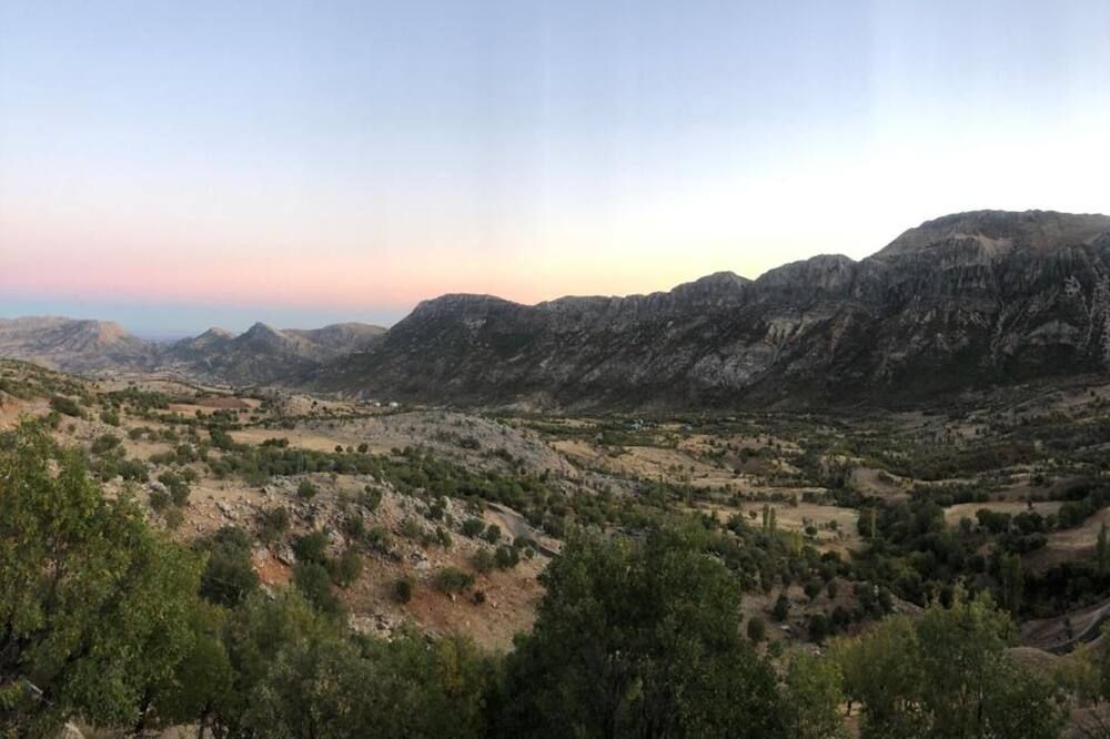 المظهر الخارجي