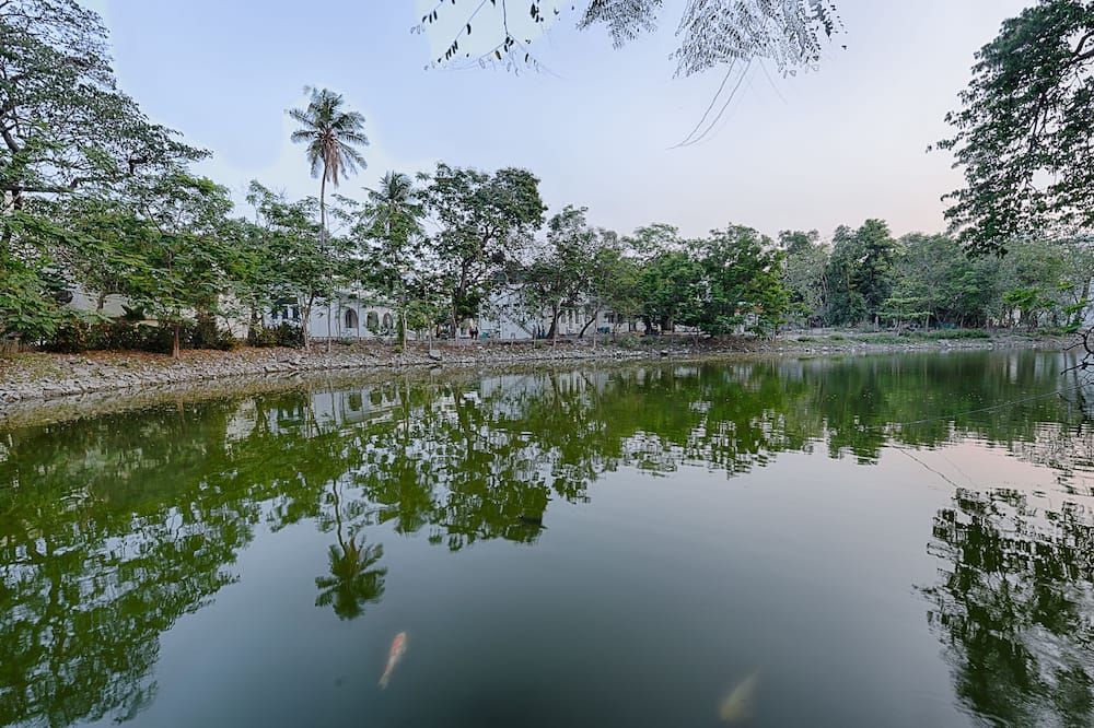 المظهر الخارجي