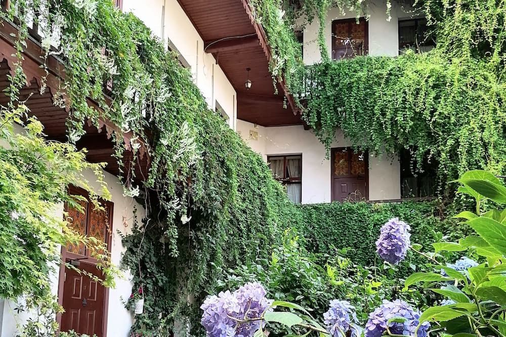 المظهر الخارجي