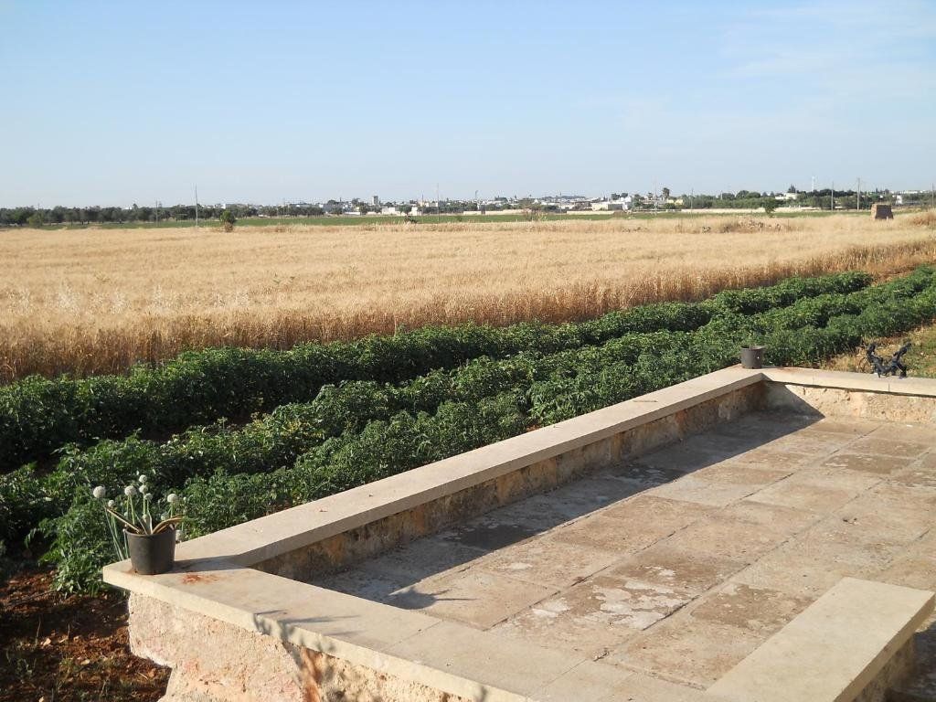 المظهر الخارجي