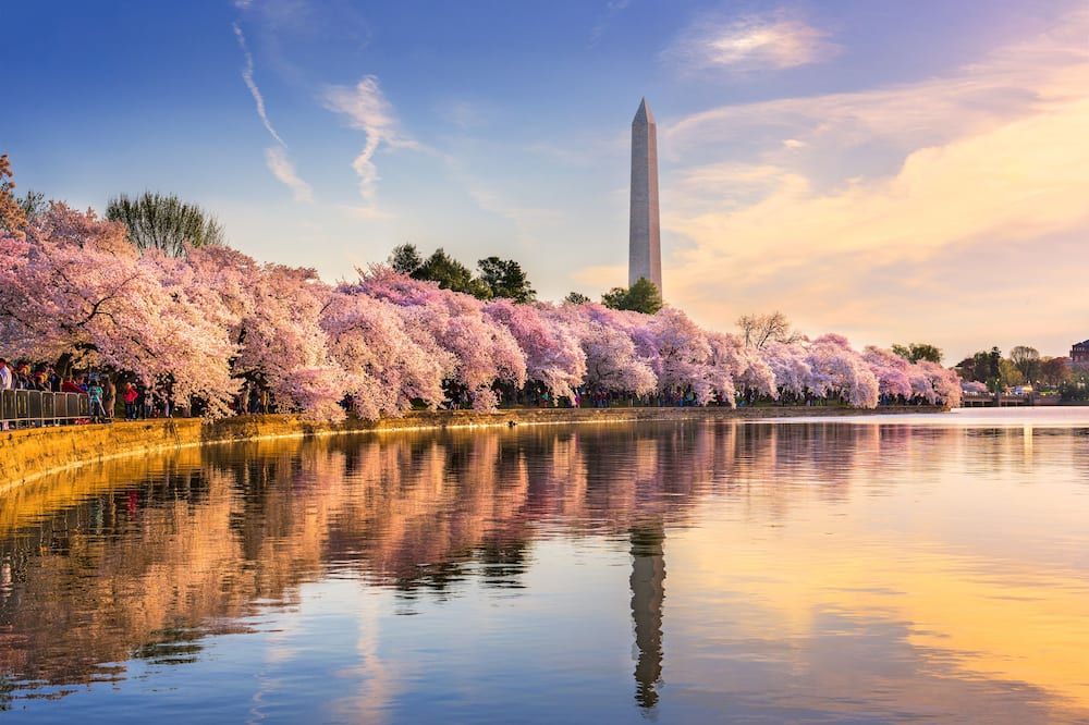 المظهر الخارجي