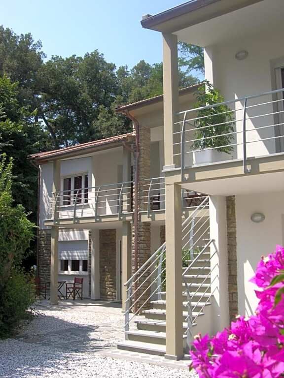 المظهر الخارجي