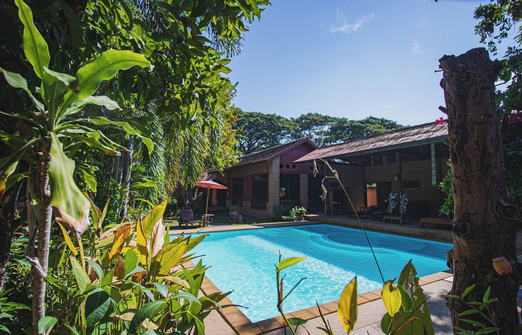 حوض السباحة