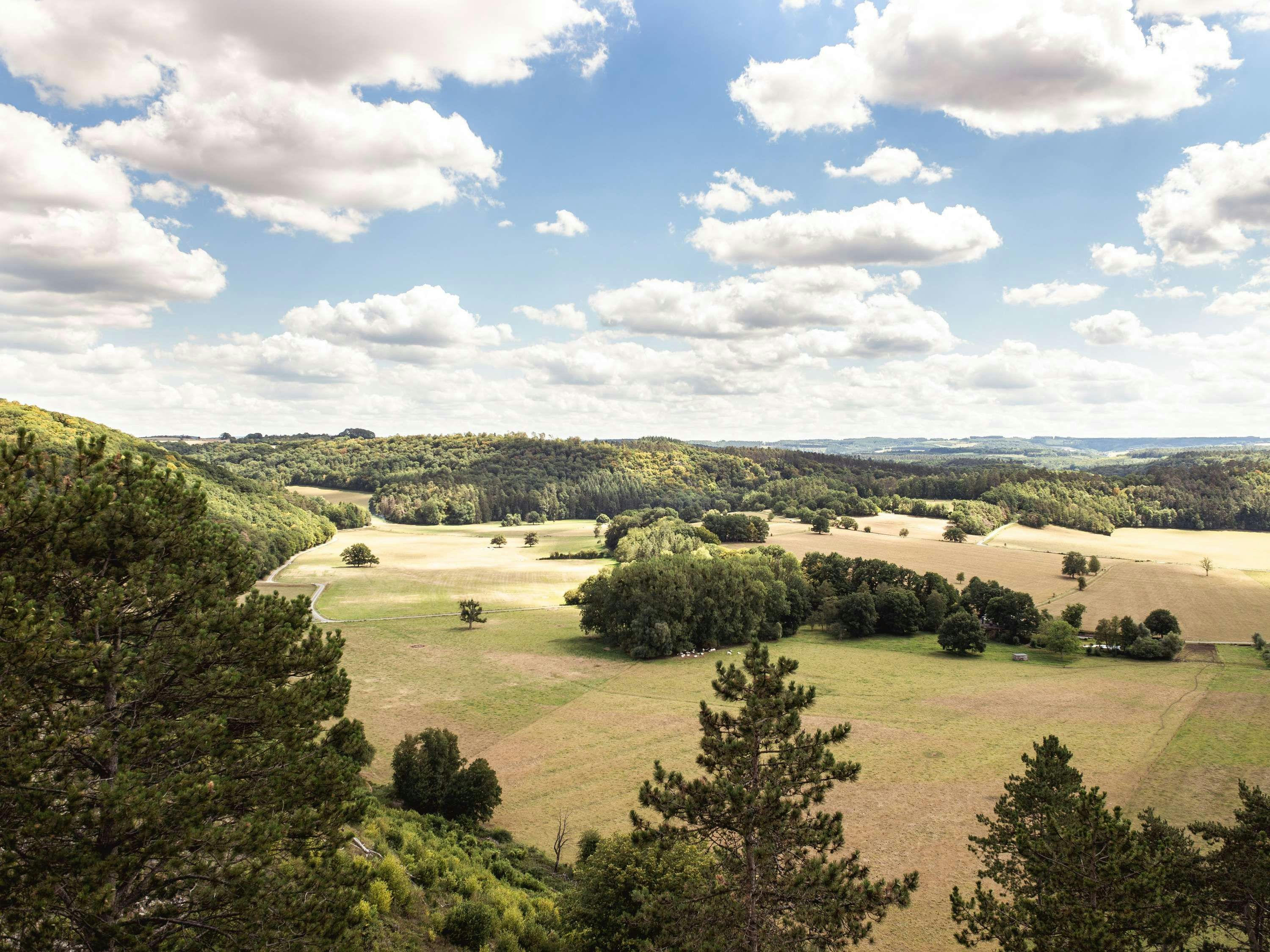المظهر الخارجي
