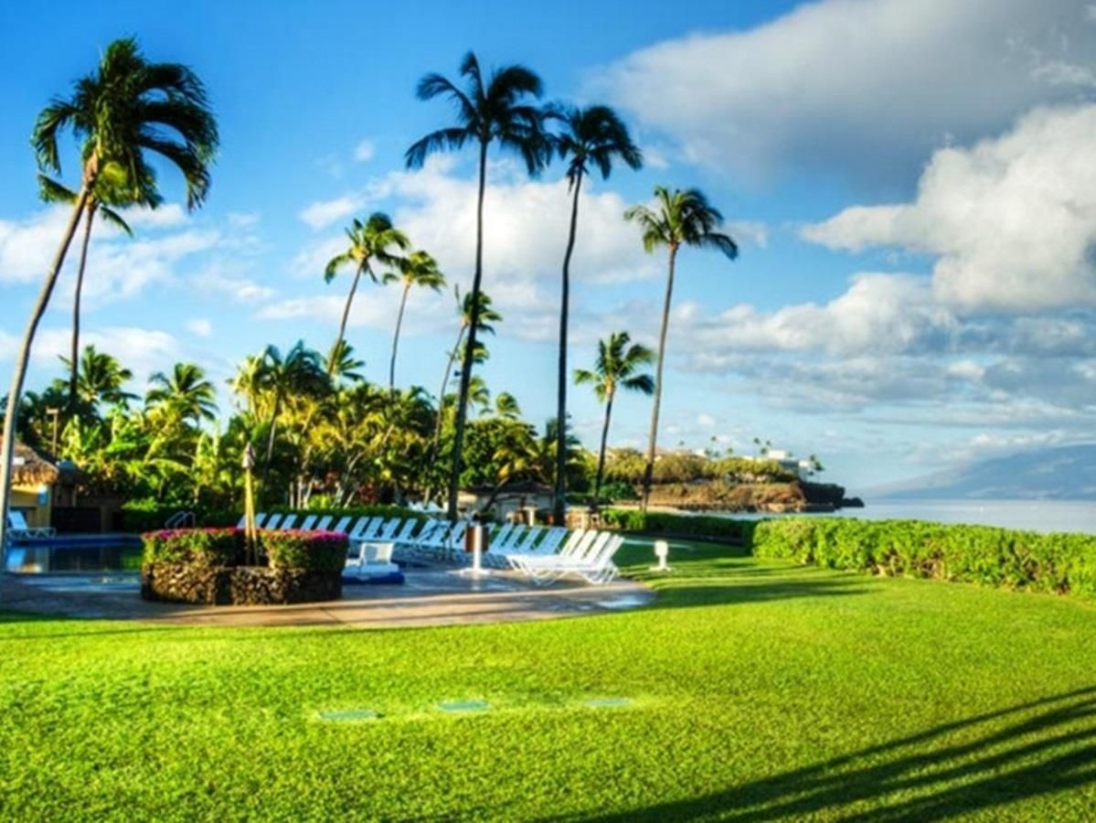 المظهر الخارجي