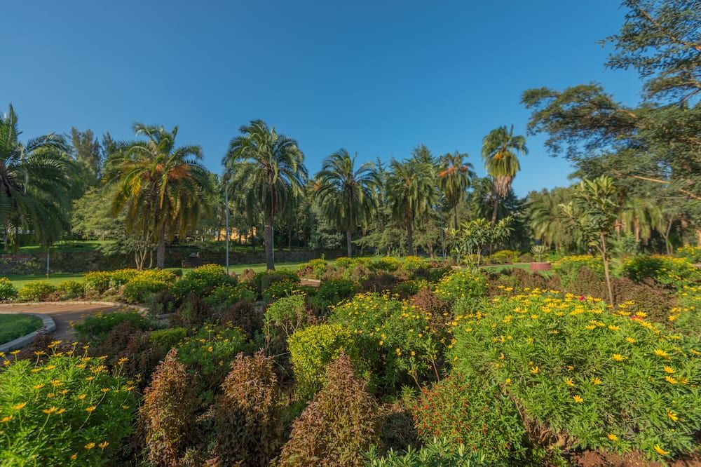 المظهر الخارجي