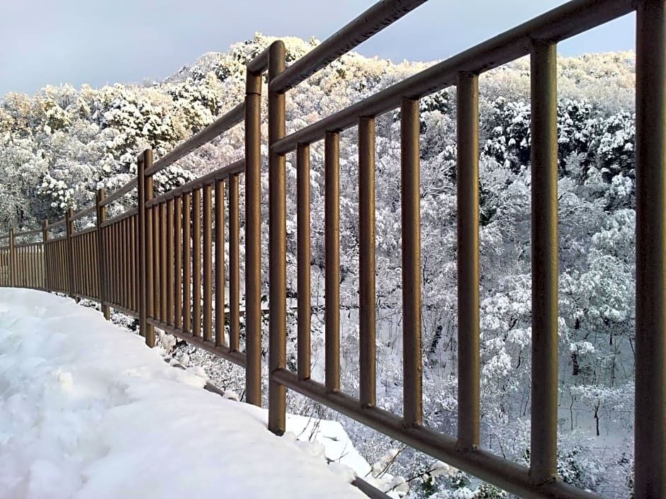 المظهر الخارجي