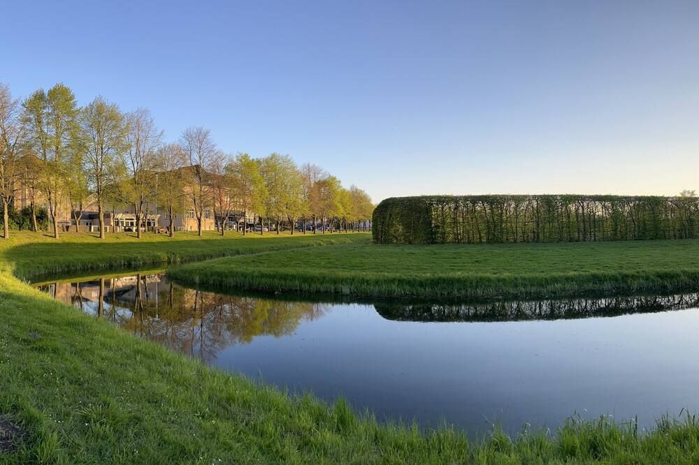 المظهر الخارجي