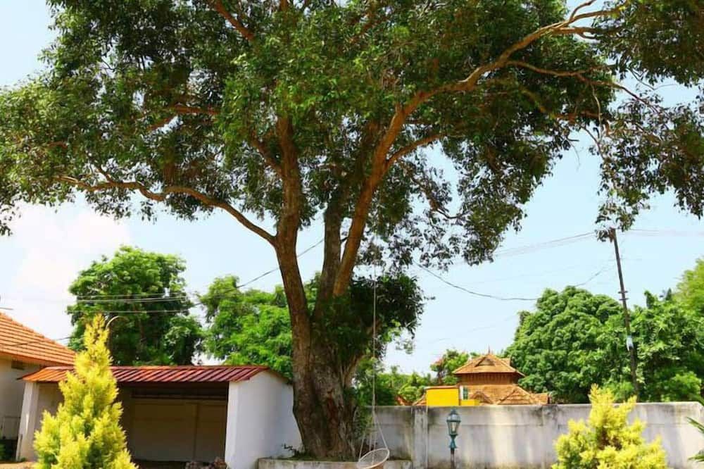 المظهر الخارجي