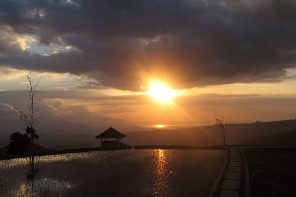 المظهر الخارجي