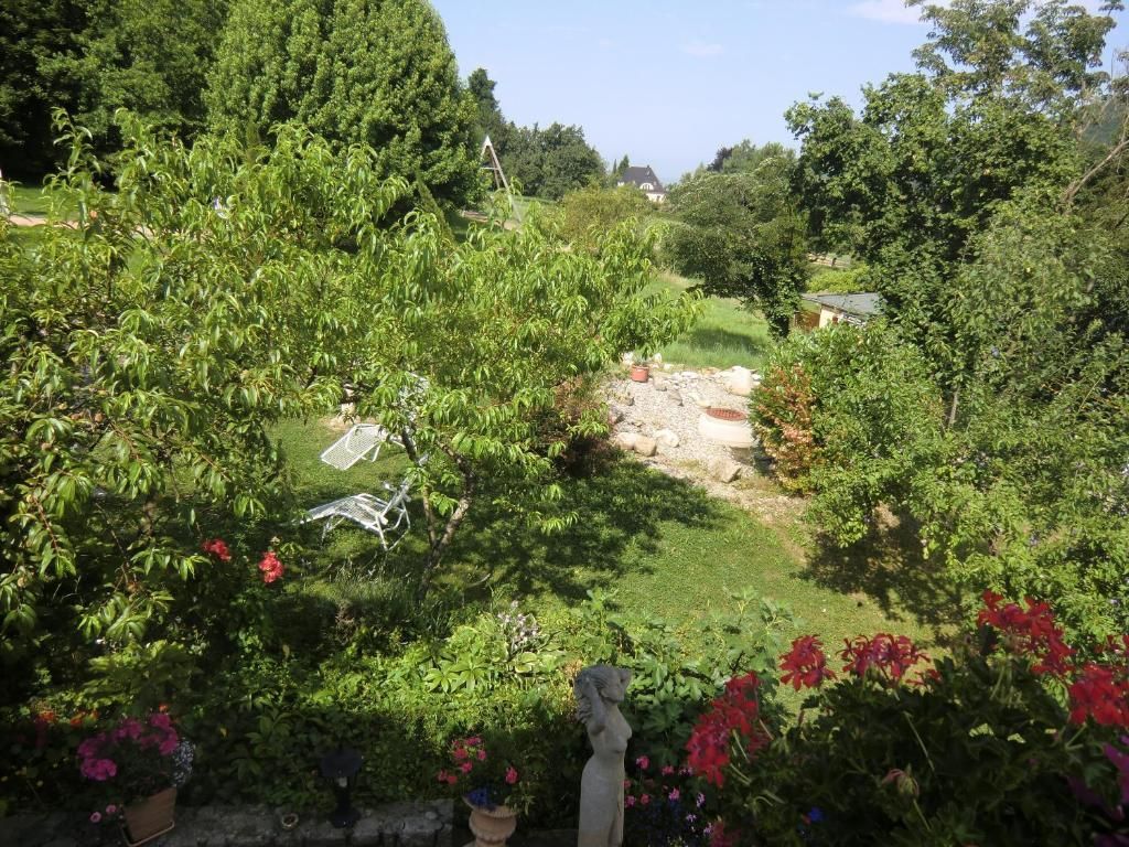 المظهر الخارجي