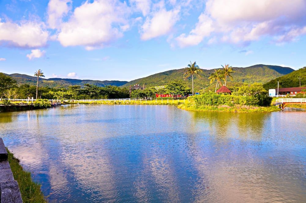 المظهر الخارجي