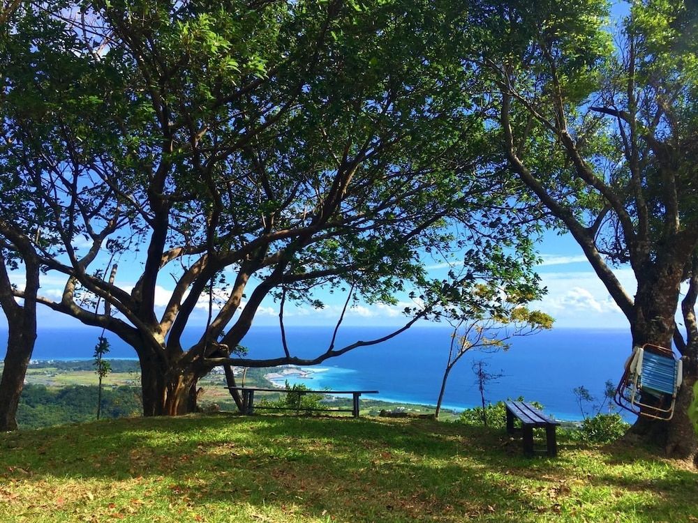 المظهر الخارجي