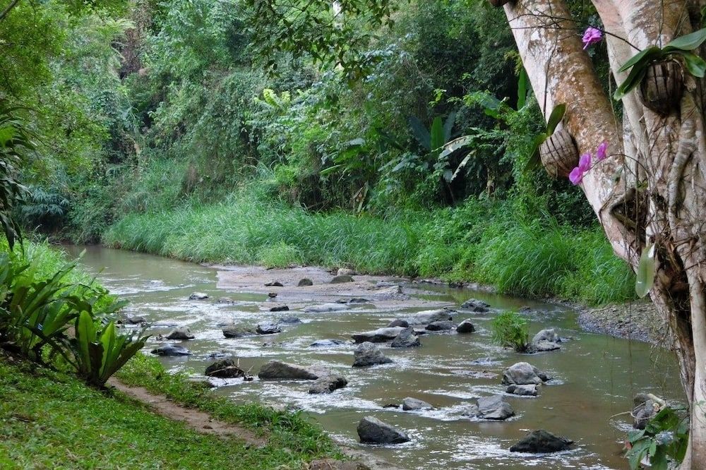 المظهر الخارجي