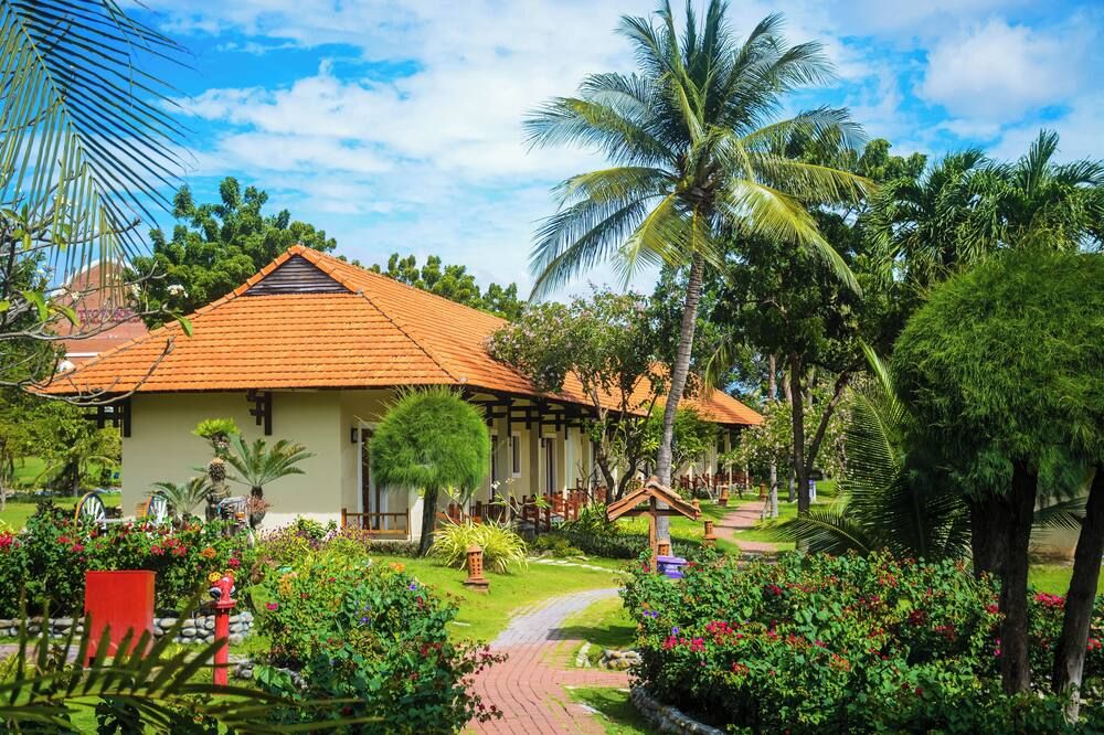 المظهر الخارجي