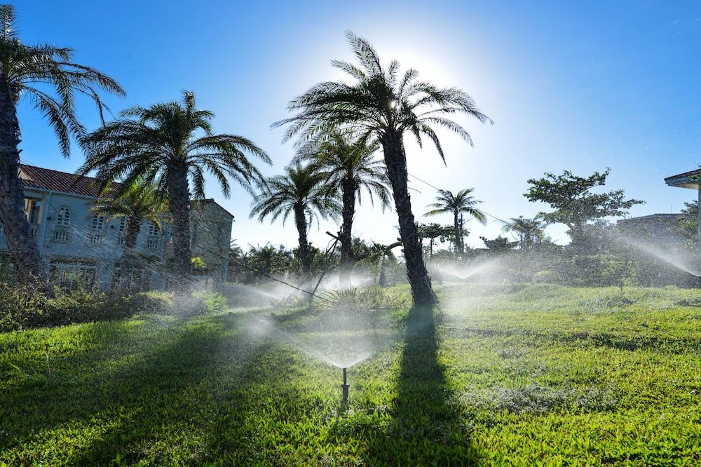 المظهر الخارجي