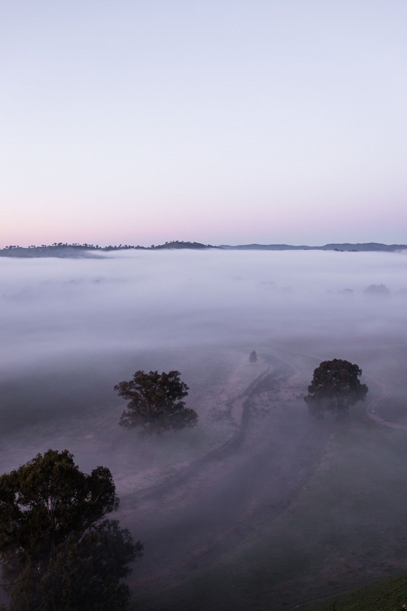 المظهر الخارجي