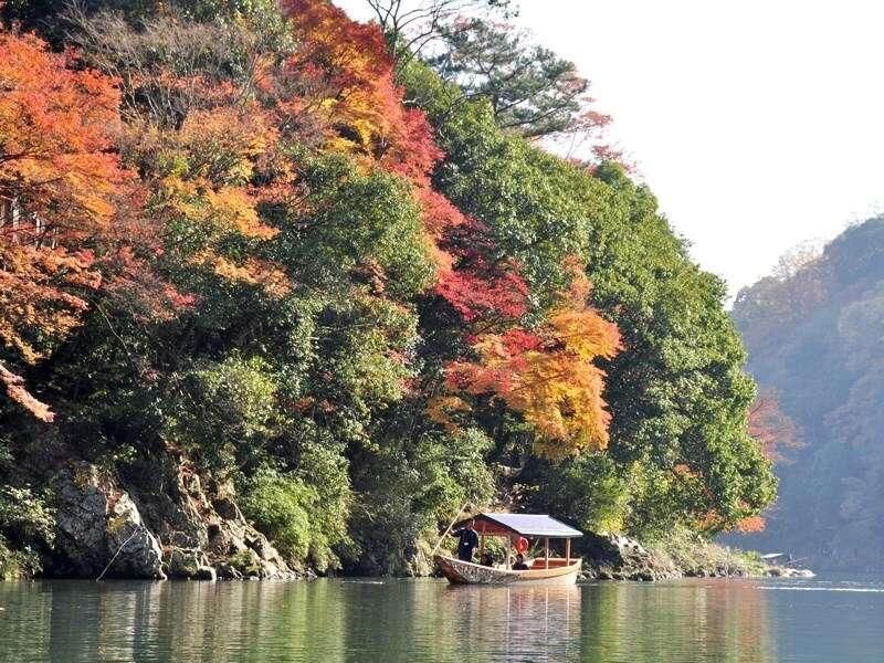 المظهر الخارجي