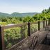 شرفة